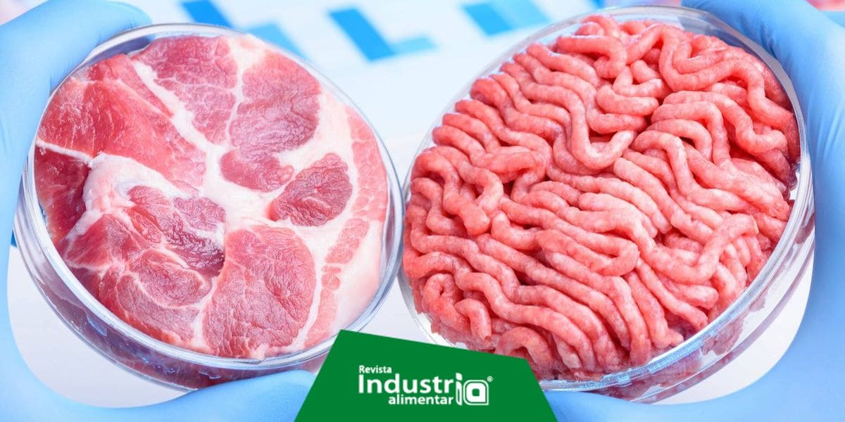 El estado de Florida en la búsqueda de restricciones legales para la producción y venta de carne cultivada en laboratorio Revista Industria Alimentaria